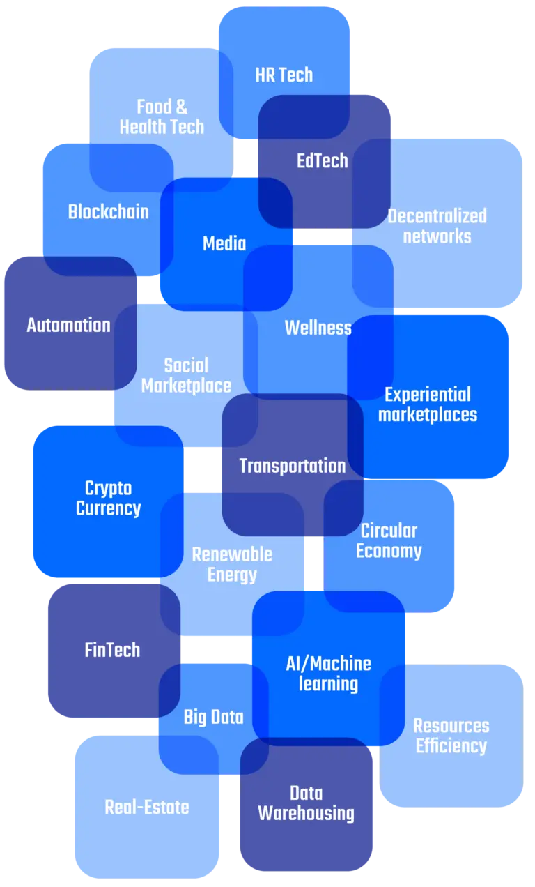 An illustrative network of blue nodes representing diverse and interconnected technology sectors such as Blockchain, AI/Machine Learning, Crypto Currency, FinTech, EdTech, Renewable Energy, and more, symbolizing the dynamic ecosystem of modern digital industries.