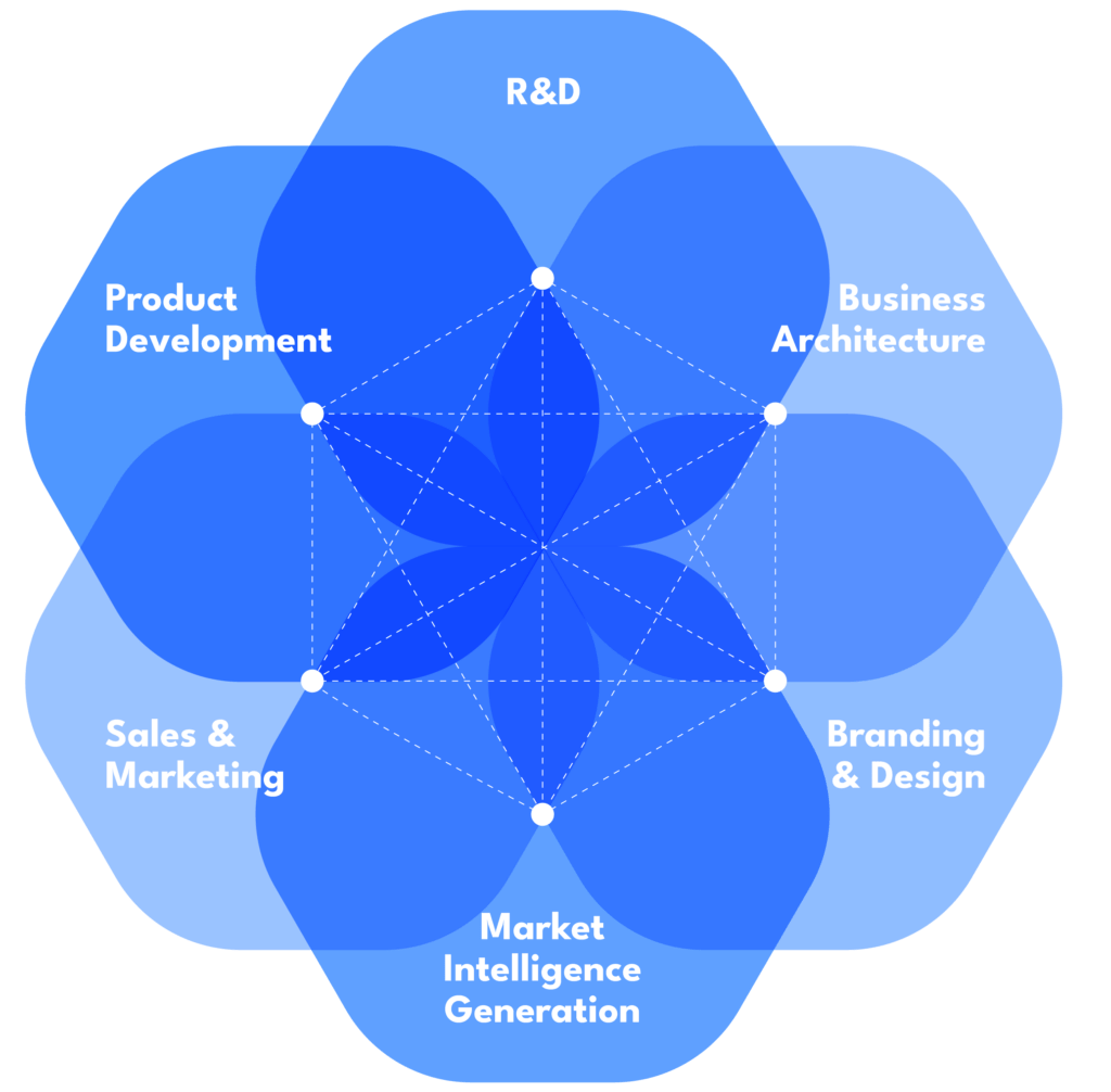 An infographic of RHV's integrated business strategy model, featuring overlapping circles that converge on a central point, indicating the interconnectedness of R&D, Product Development, Business Architecture, Branding & Design, Market Intelligence Generation, and Sales & Marketing.